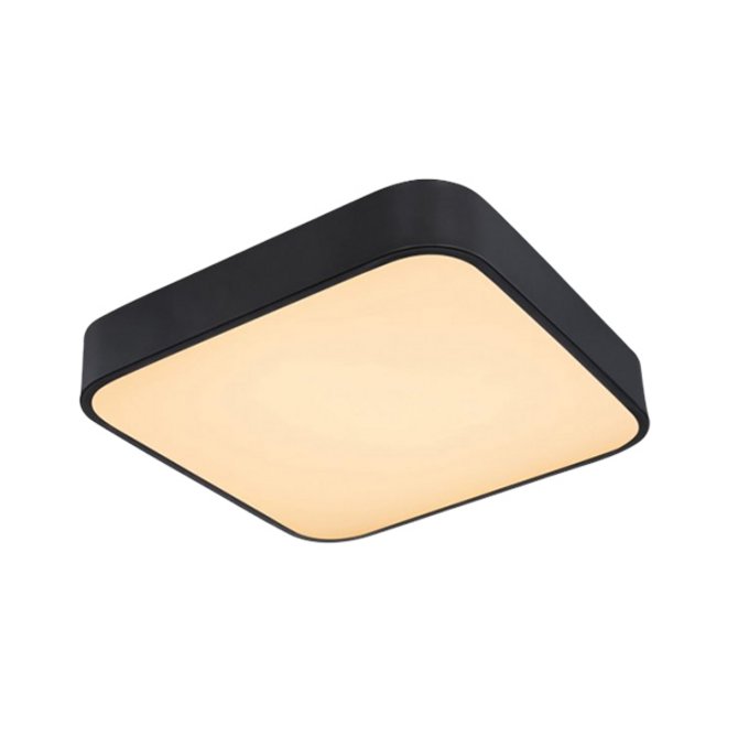 GLOBO Led plafonjera Leanara 41755-24B GLOBO Led plafonjera Leanara 41755-24B