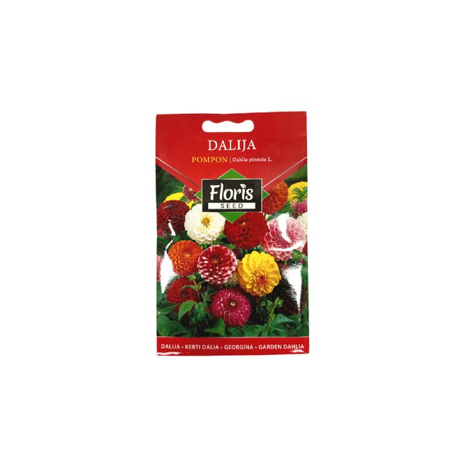 FLORIS cveće Dalija pompon 0.3 g FLORIS cveće Dalija pompon 0.3 g