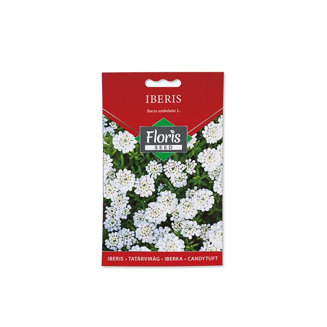 FLORIS cveće Iberis 0.3 g FLORIS cveće Iberis 0.3 g